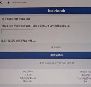 Facebook 登录要求两步验证码