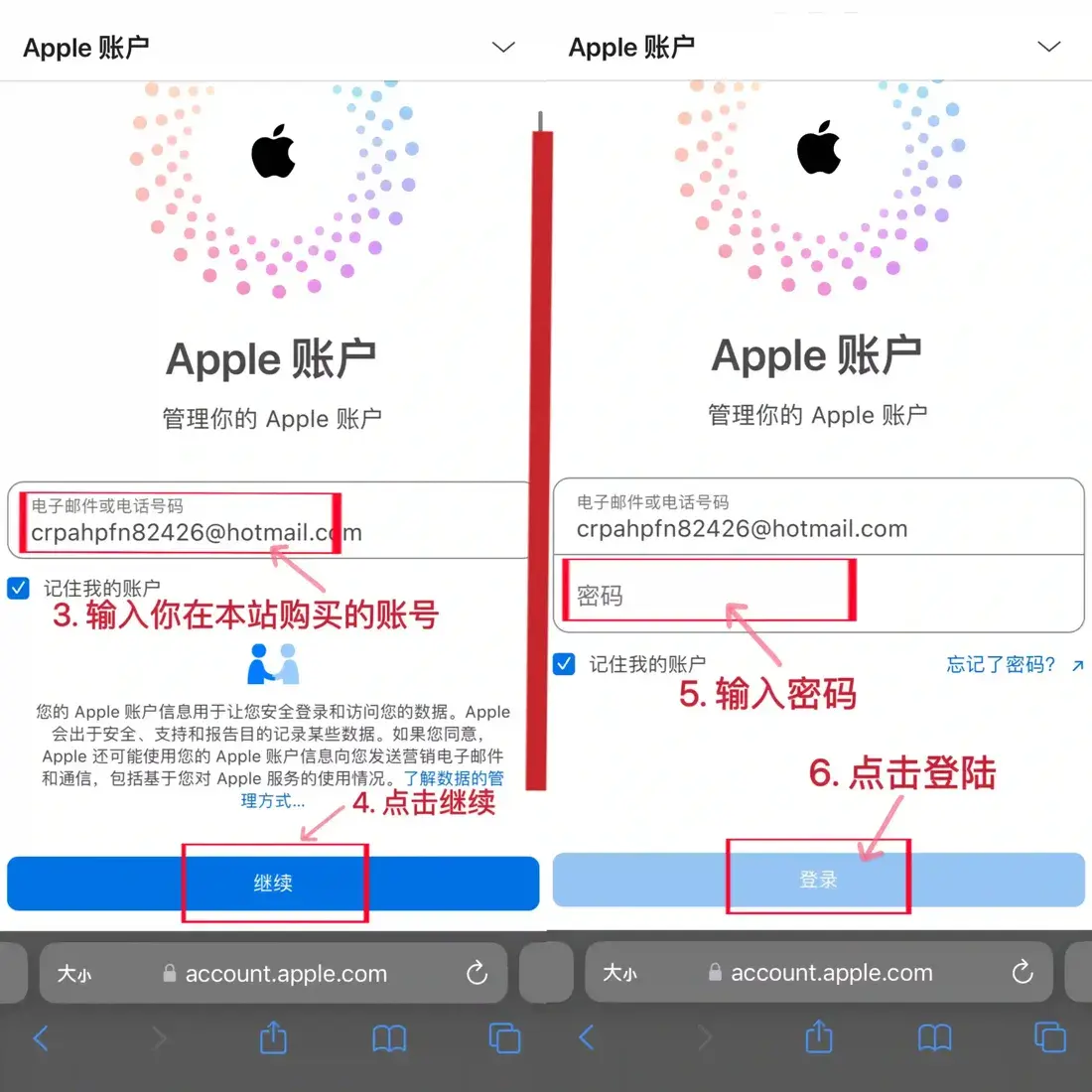 输入购买的账号和密码后点登录